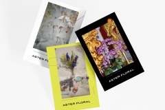 Aster Floral Poster Design by Emily Ernest