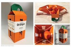 Ounces of Oranges Package Design by Erin Lyons